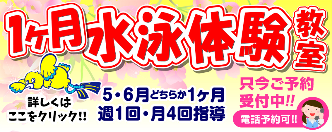 体験レッスン