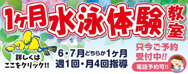 体験レッスン